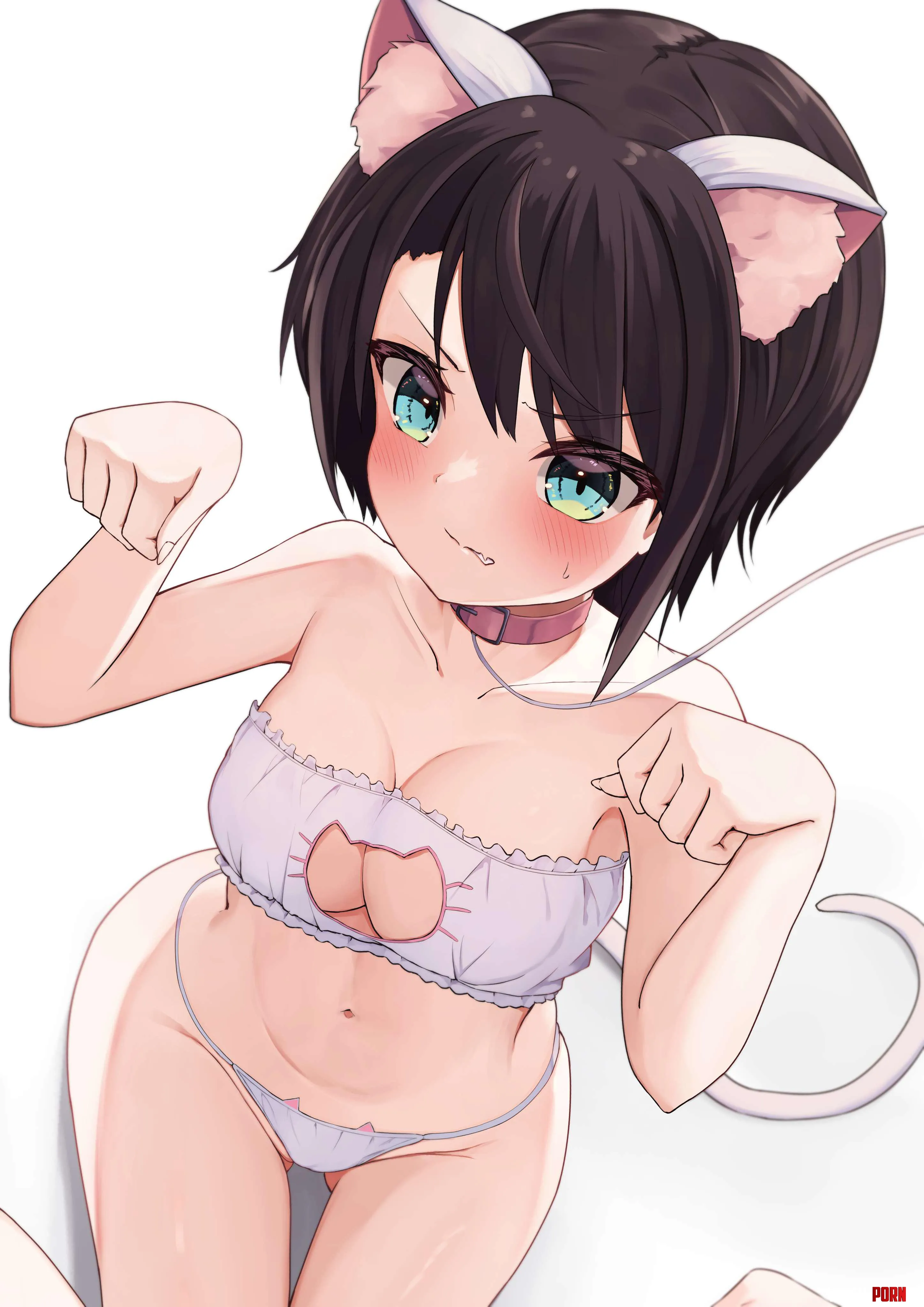 Tomboy cat by Alcatraz1331