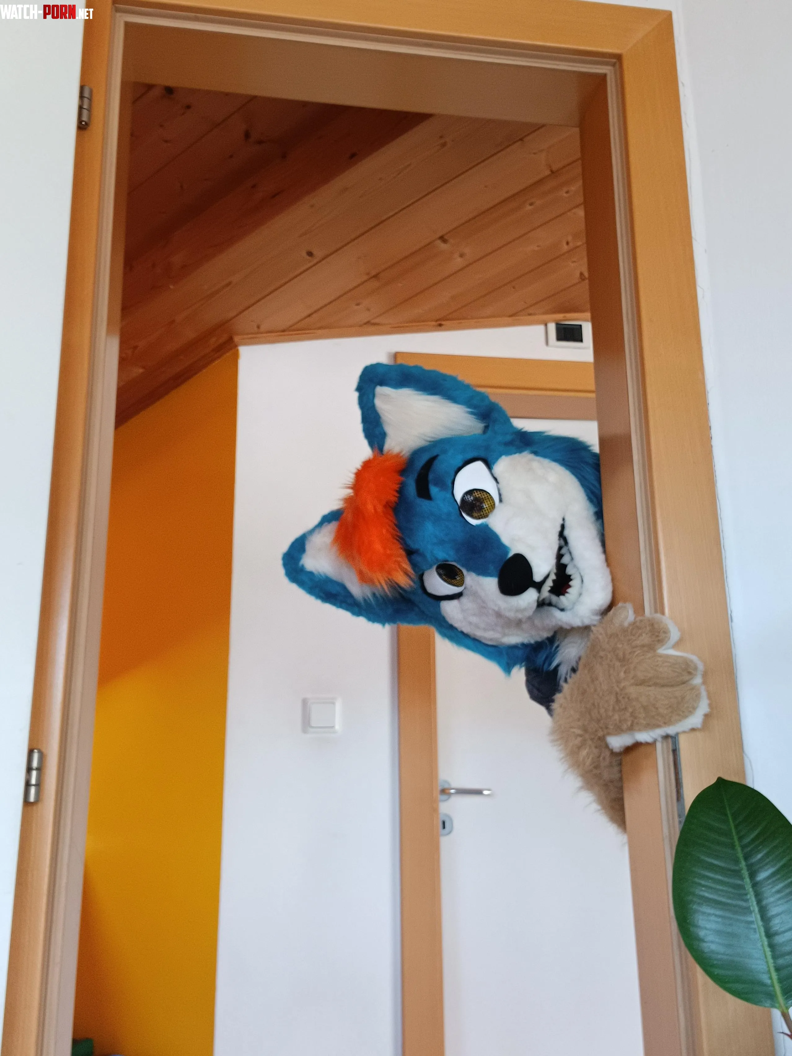 Did someone say Fursuit Friday by WelcomeDear7192