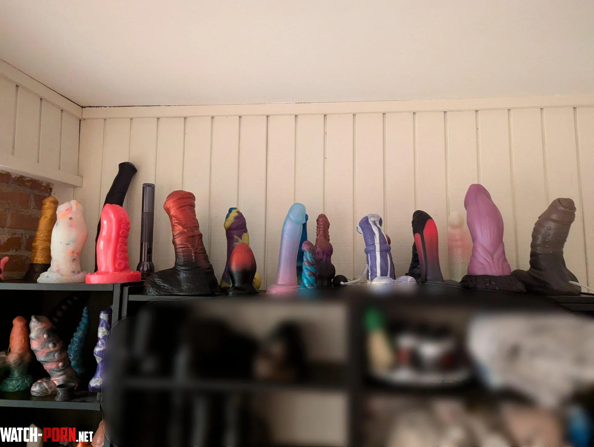 most of my collection  by Sleepylilfawn