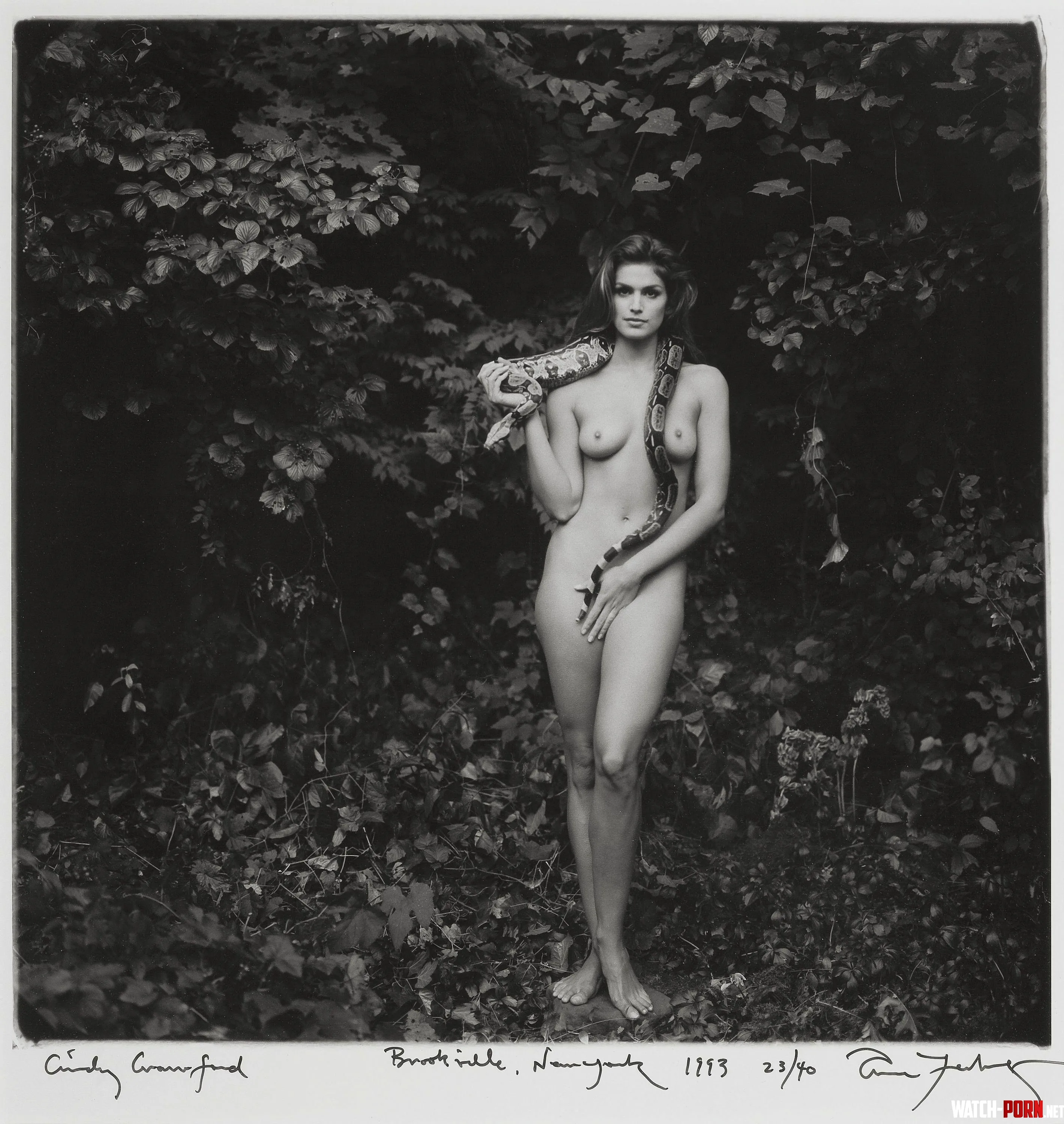 Cindy Crawford  by QuickResidentjoe