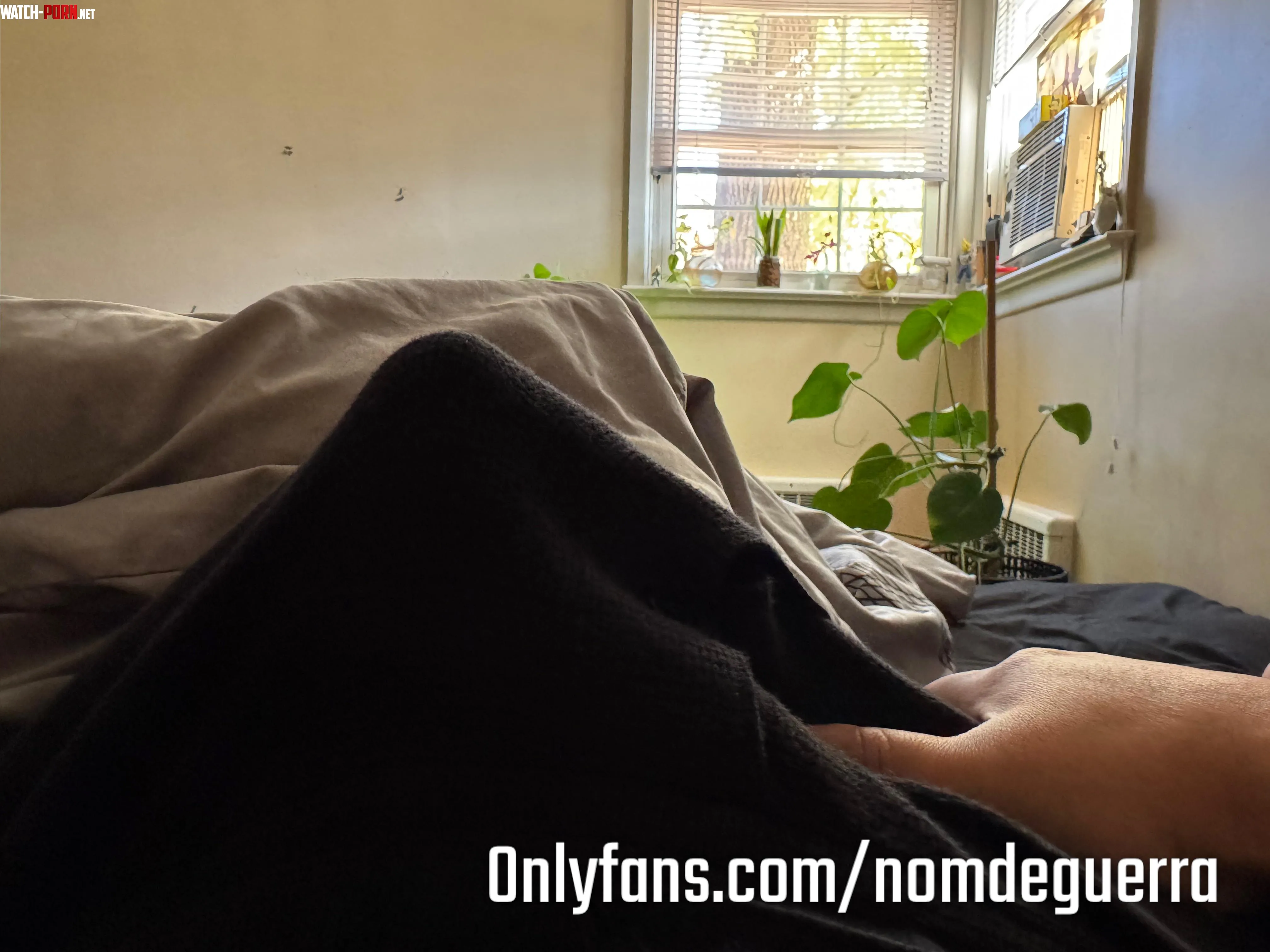 Lazy Saturday mornings  by NomdeGuerra