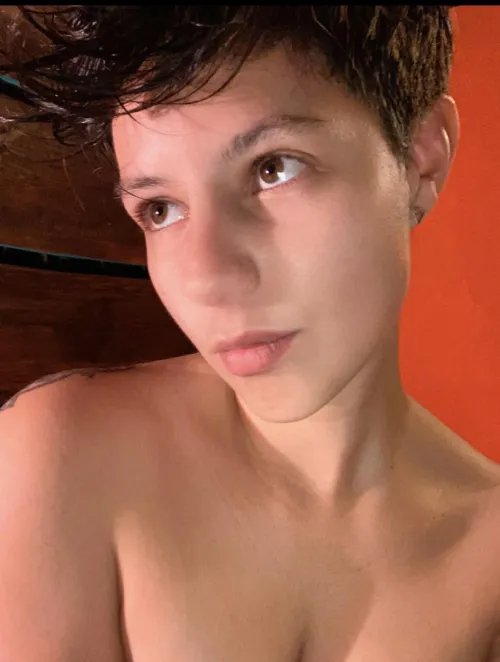 Thumbnail Fresh & Ready for Fun: TinaStoner's ShorthairChicks Prep