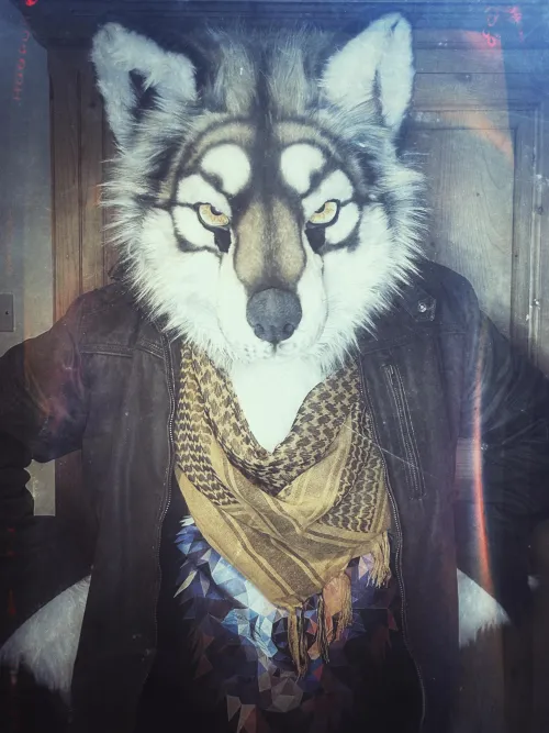 Thumbnail Frozen Mice and Booped Snoots: A Furry Tale by smog_the_wolf