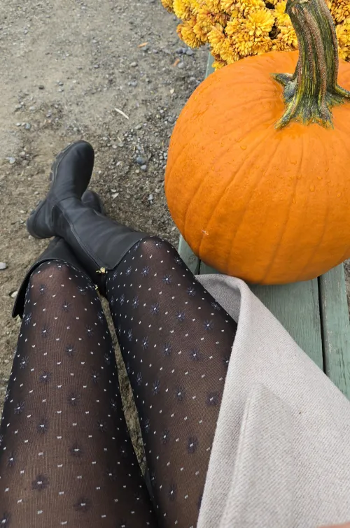 Thumbnail Popruzhinka's Canadian Thanksgiving: Pantyhose Holiday Look
