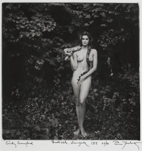 Thumbnail Iconic Beauty: Cindy Crawford Revealed by QuickResidentjoe