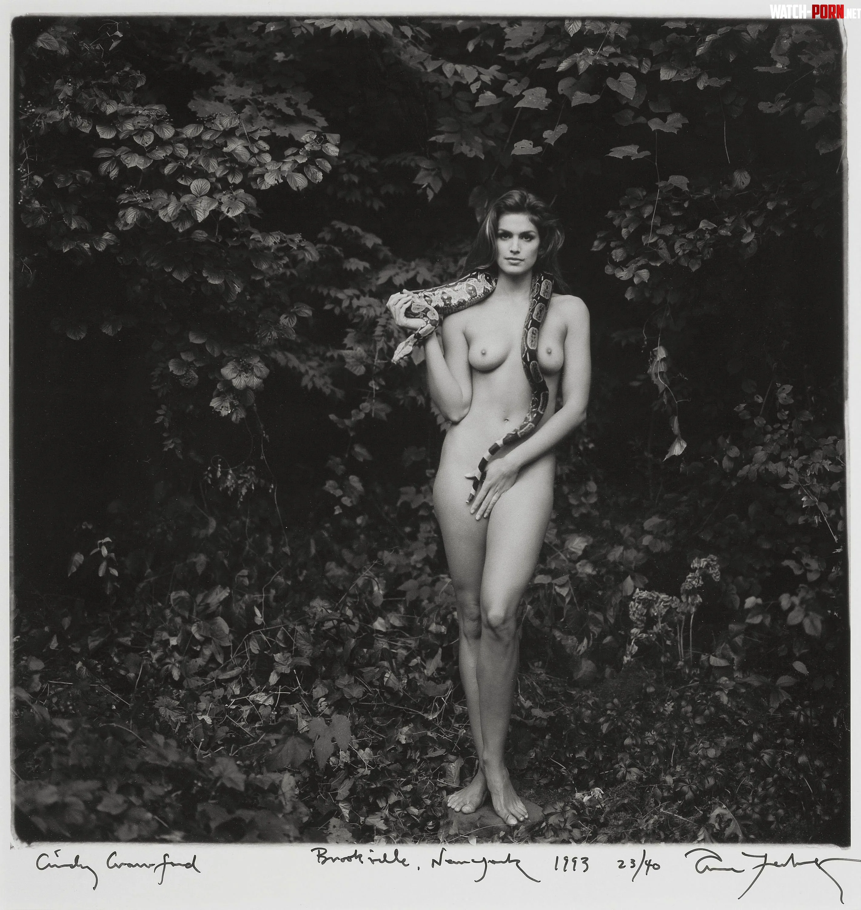 Cindy Crawford  by QuickResidentjoe