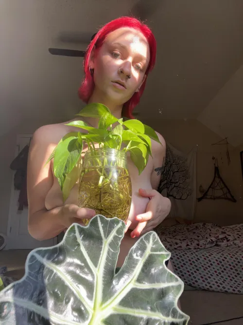Thumbnail Unlocking the Plant Moms' Handbra Secret with Ladybug67907327