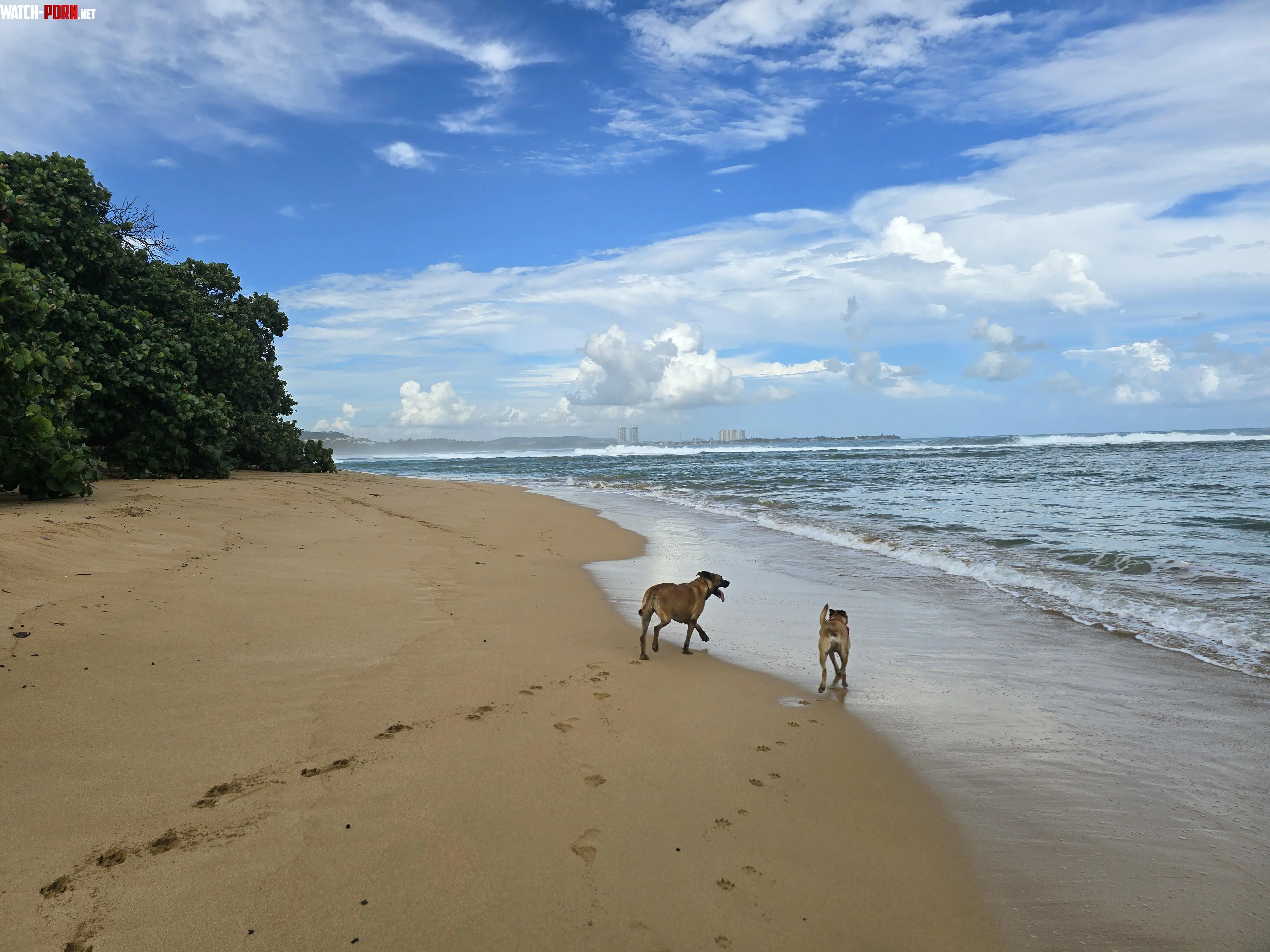 My girls having fun on Playa la Selva PR by Haploid-life