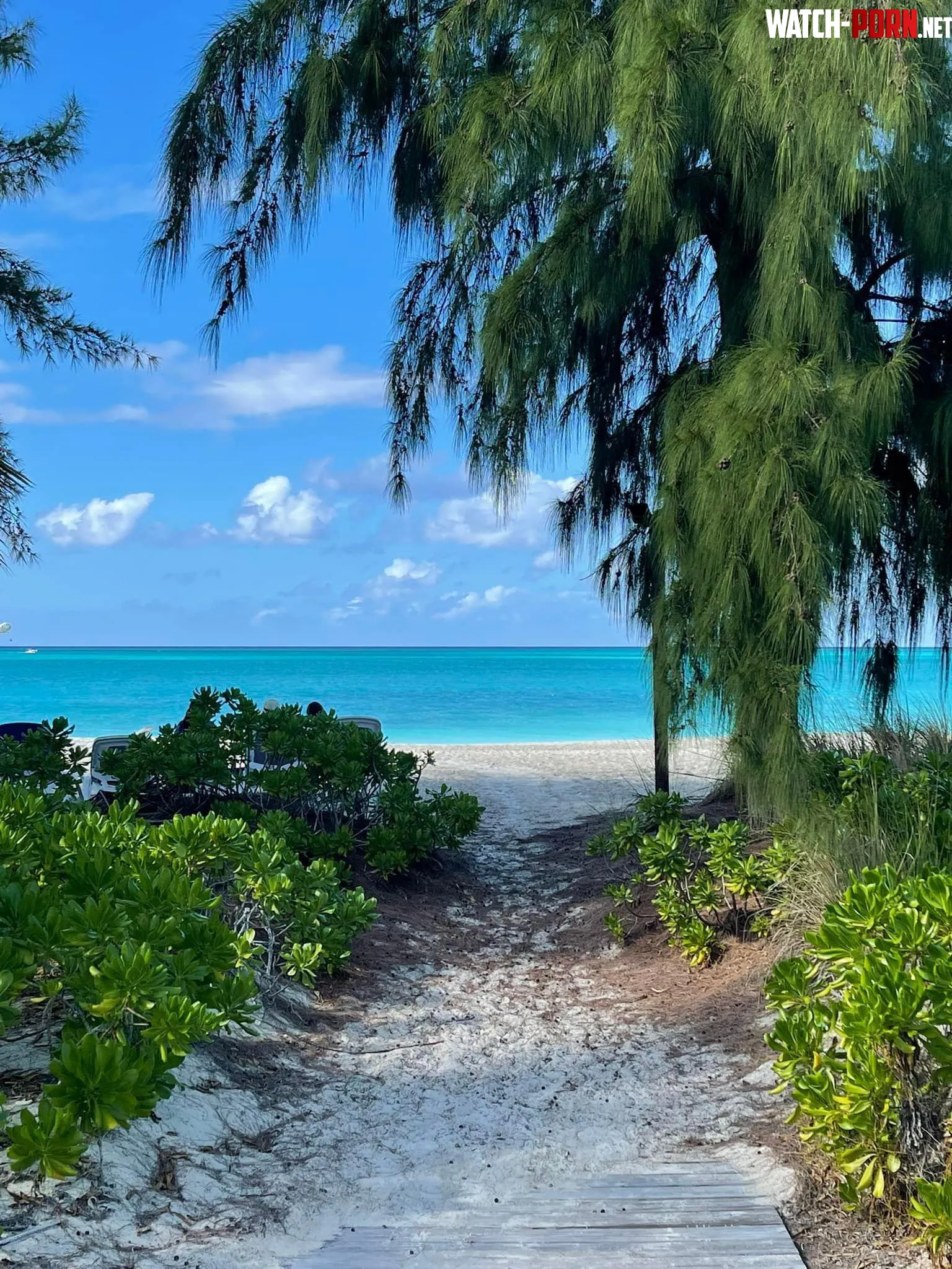 Turks and Caicos by Reasonable-Event-445