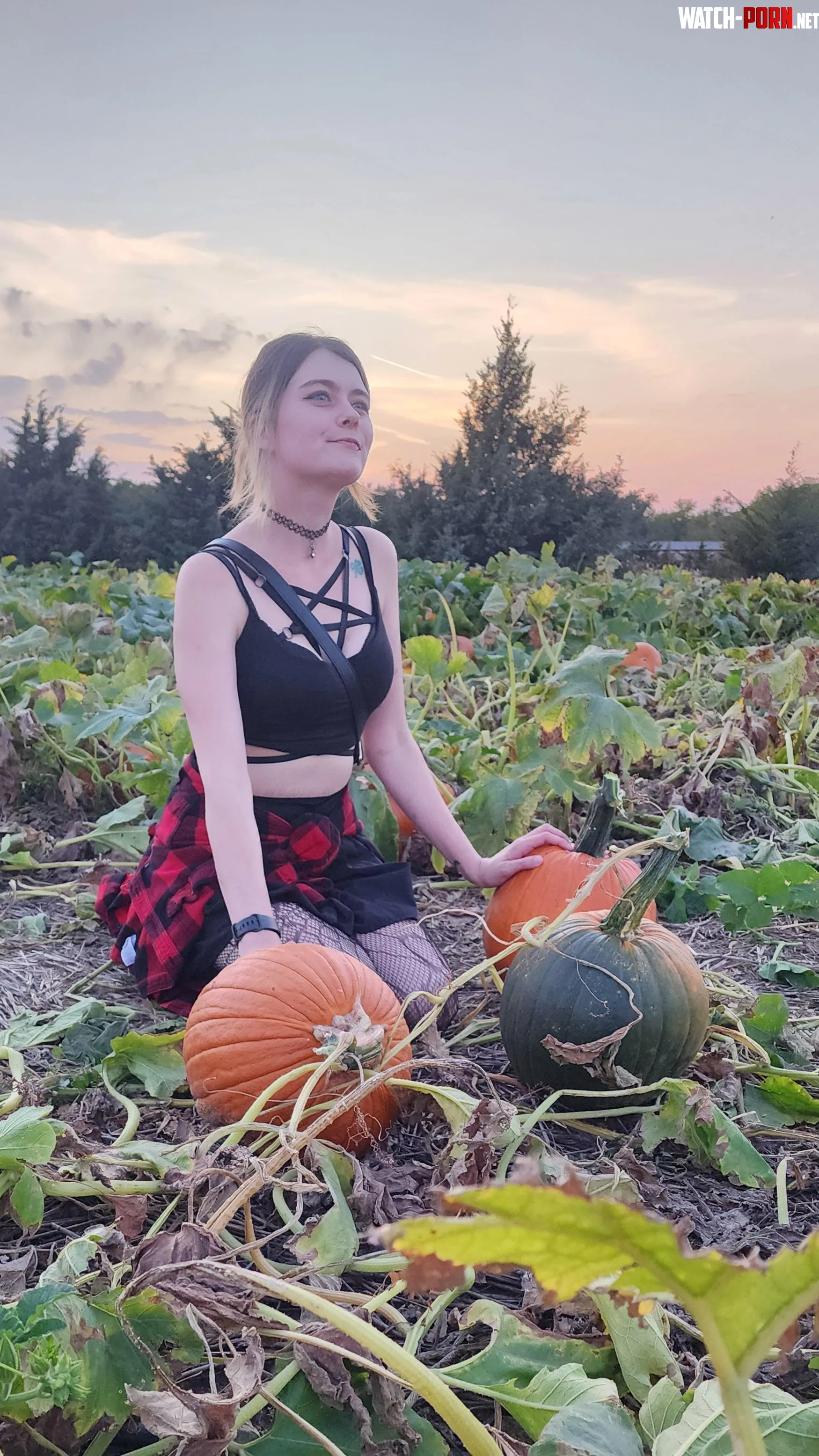 Witchy vibes in the pumpkin patch  by OpeItsKitty
