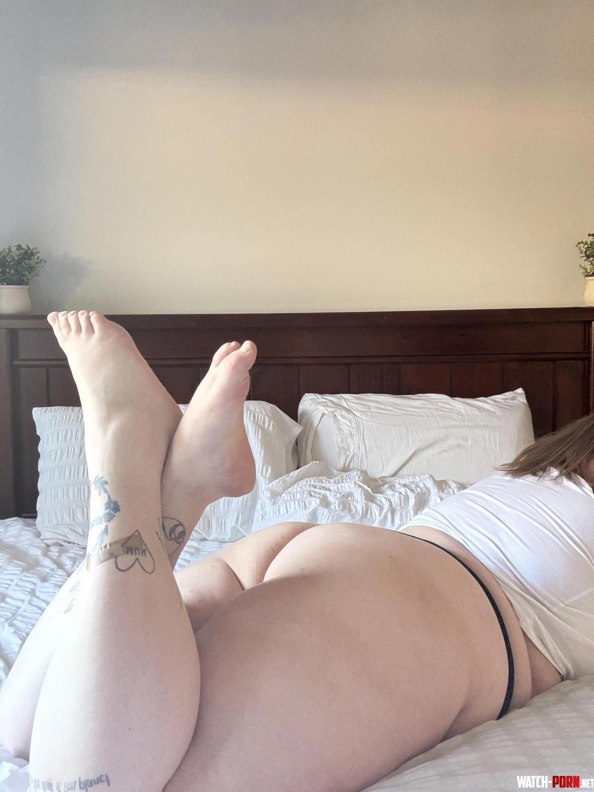 What a gorgeous day to lounge in the sun   by Hot-Definition-3496