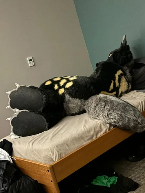 Thumbnail Weekends in the US Airforce by Crispy_Kaiju: A Furry Perspective