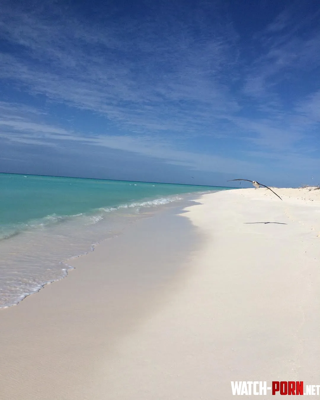 Midway atoll Hawaiian islands by colapepsikinnie
