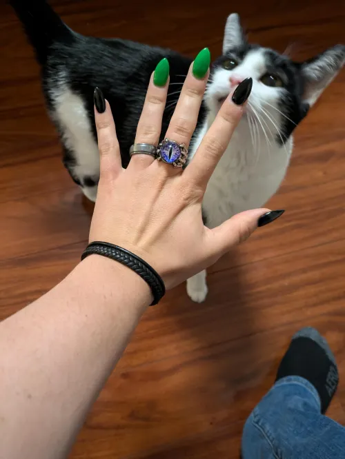 Thumbnail Feeling Fierce: Nail Fetish Expressions by CorruptedClaws