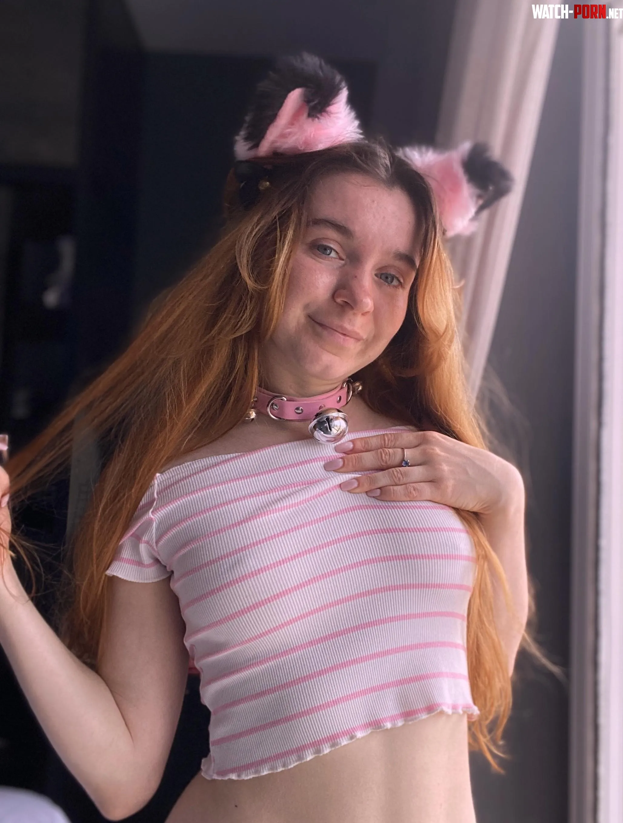 Im trying to be a wild cat but Im still a cute kitty at heart by Angelfrom_Sky