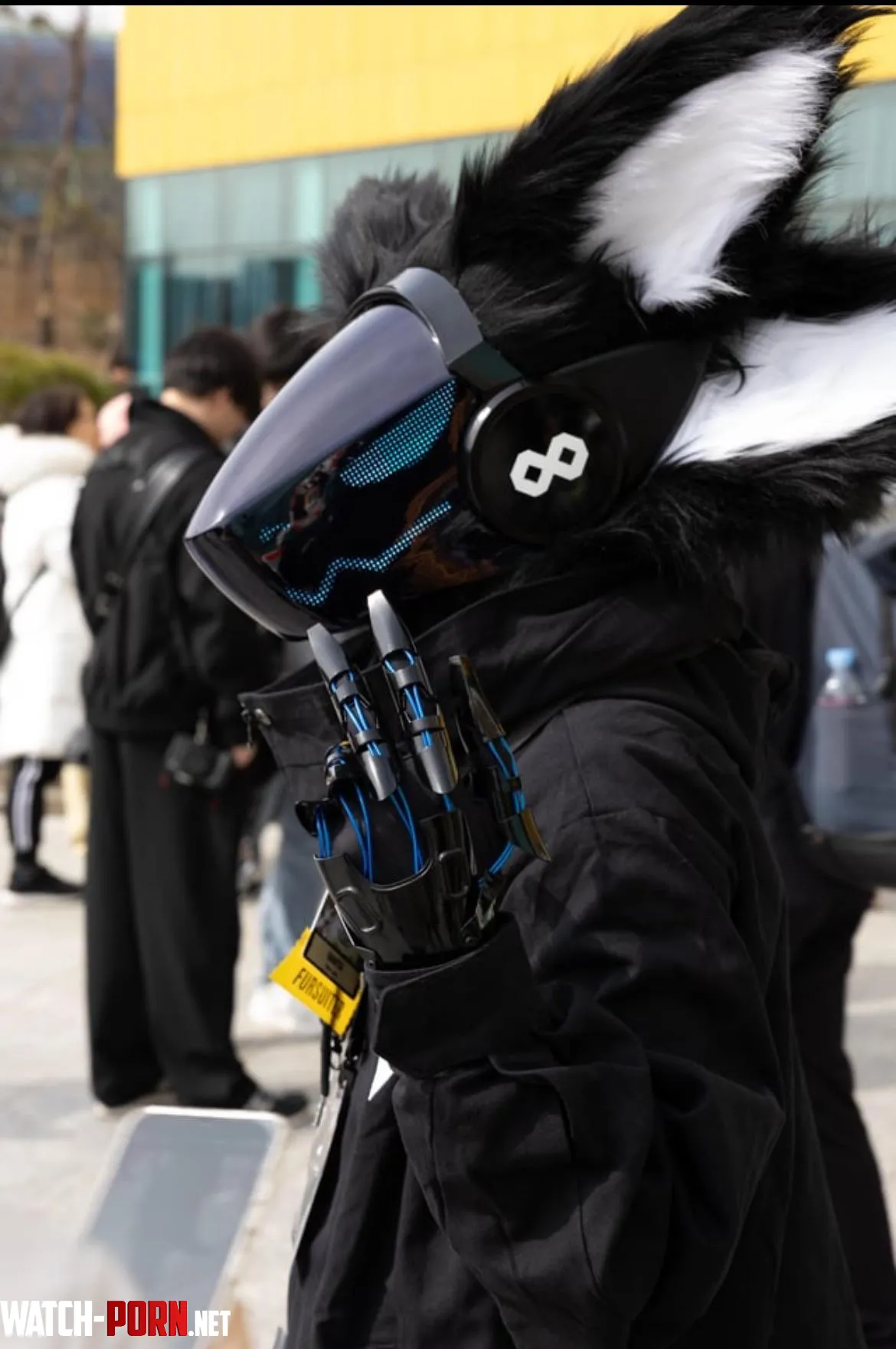 Whos your fursuit crush Img IllVegetable236 by Mr_Paper1515
