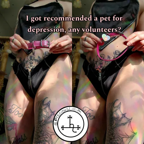 Thumbnail Pet Play Therapy: Healing with PreciousLillith