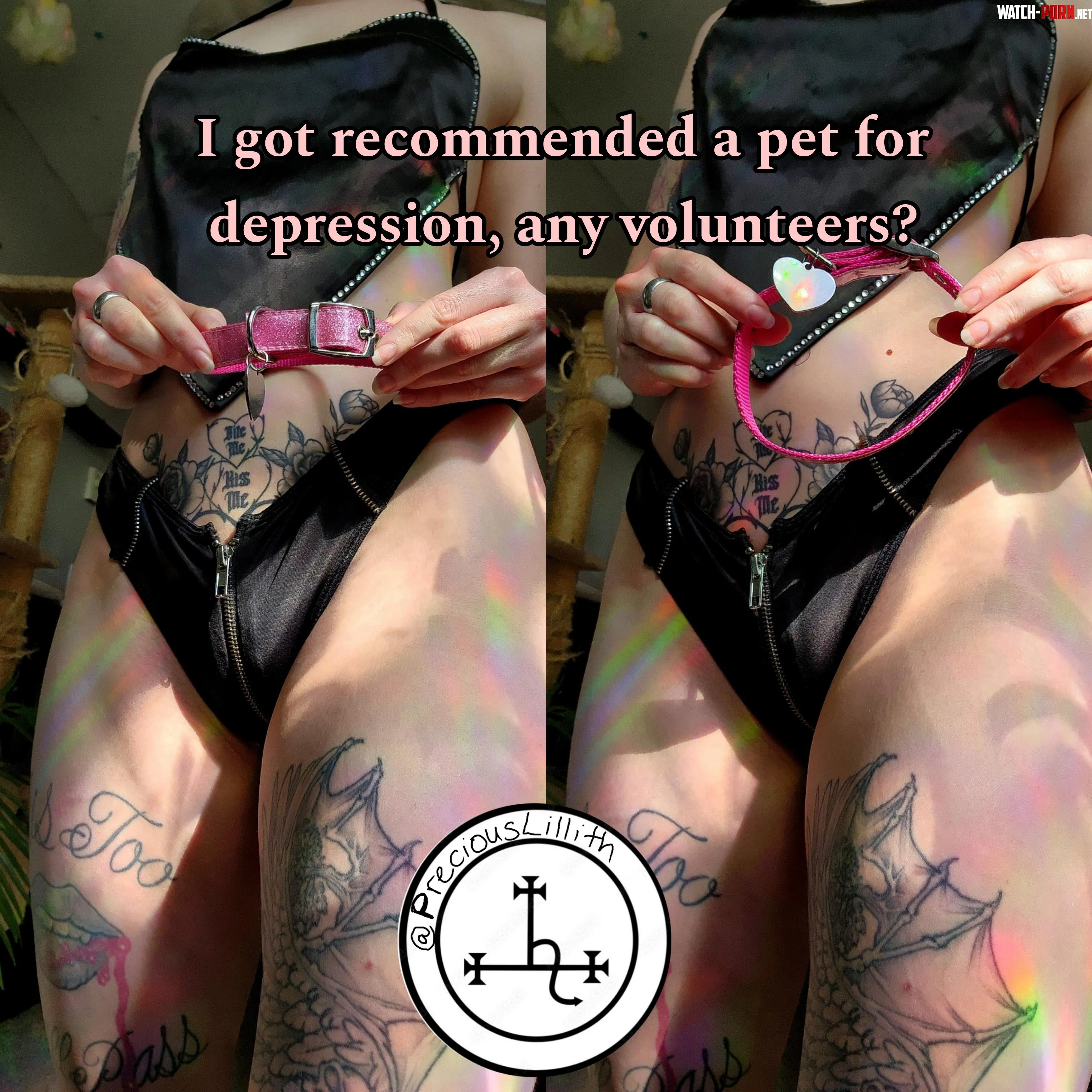 Pets are good for depression F by preciouslillith