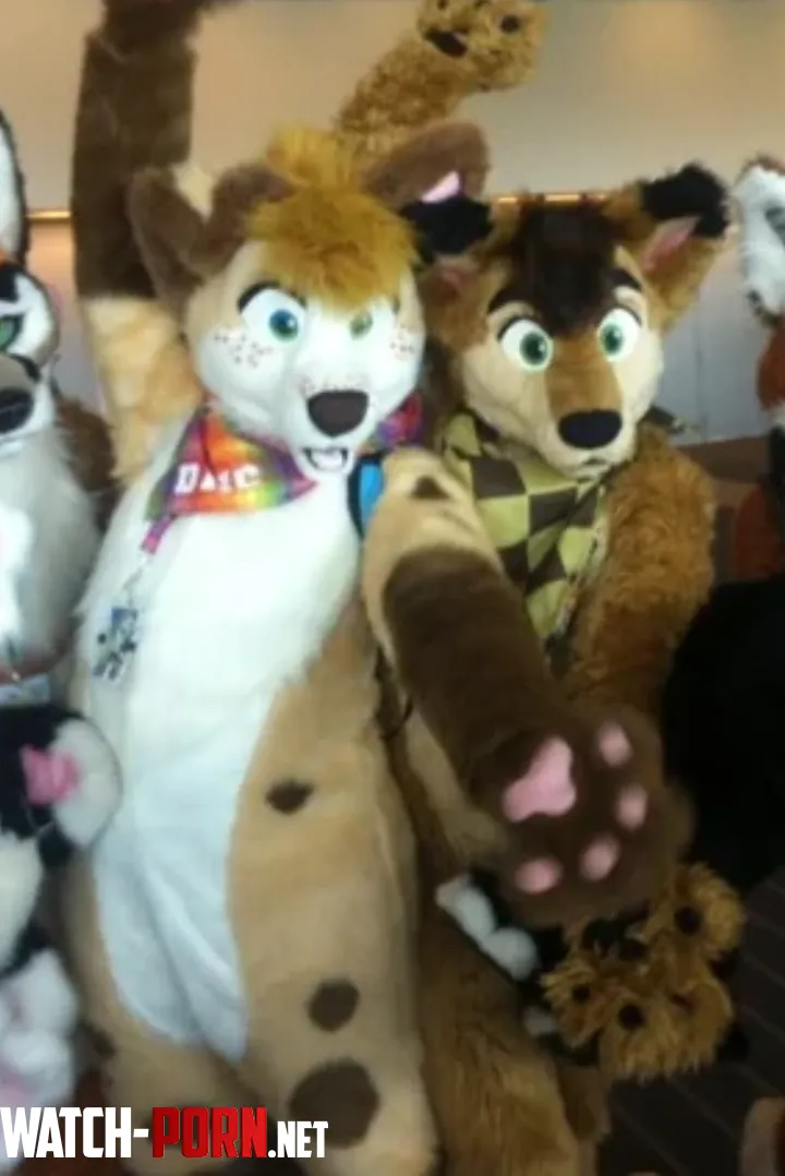 What type of fursuit are these  by Dismal_Echidna560