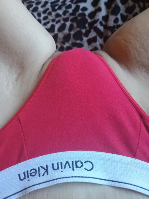 Thumbnail Take Off My Panties by littlestefania6934 | OnlyFans101