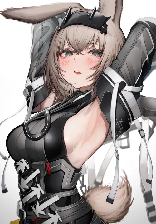 Thumbnail animearmpits Sensation: Avywenna's Endfield in Arknights by TheRoySez