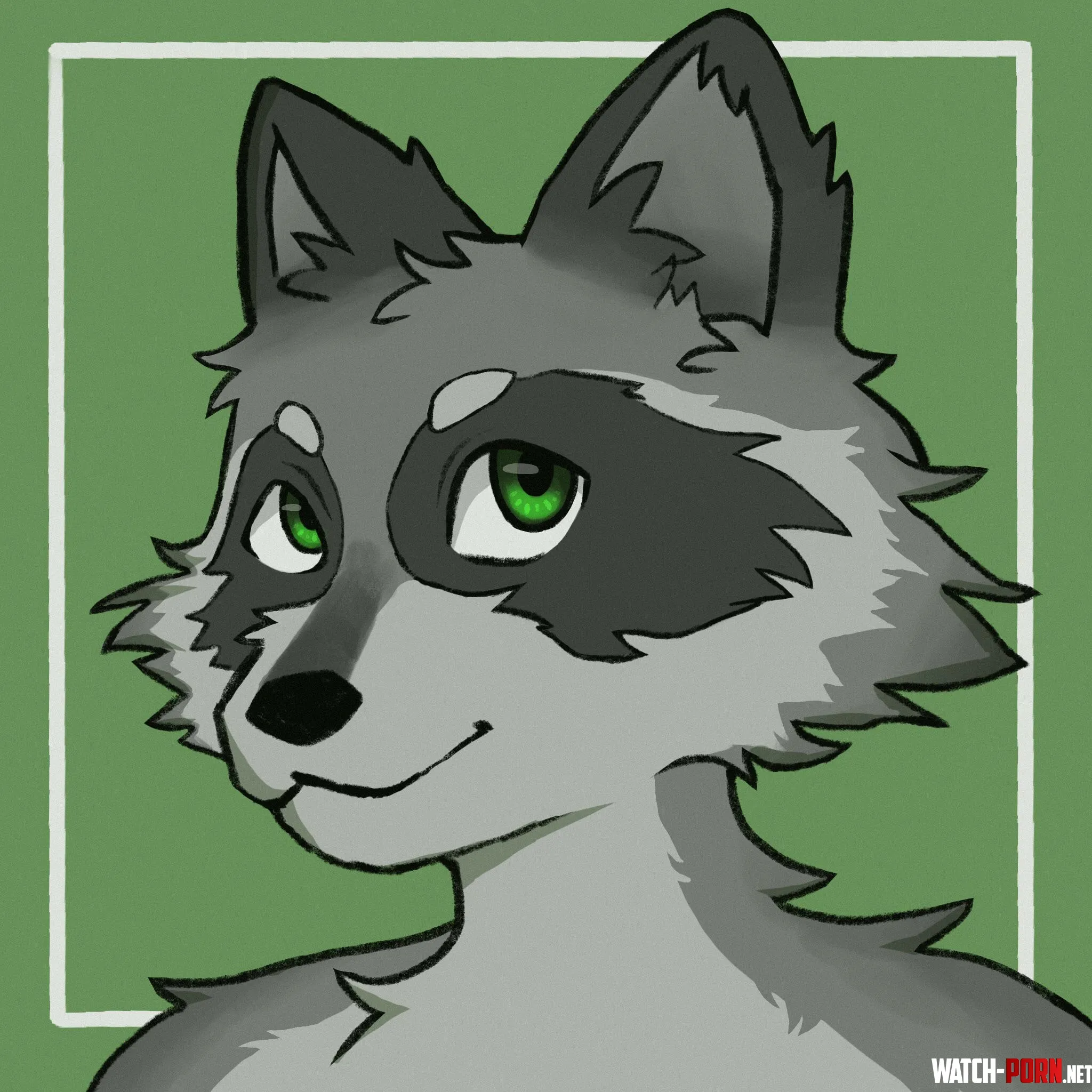 First attempt drawing a raccoon furry any name ideas by forest-fur