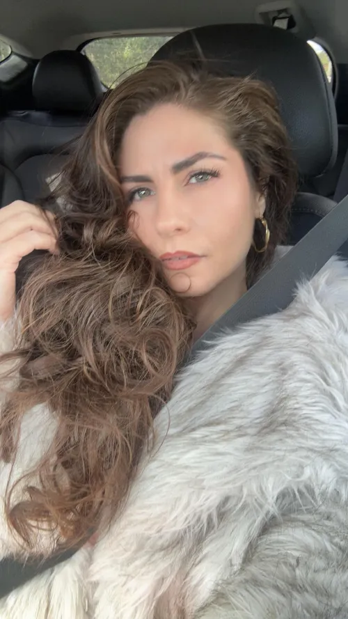 Thumbnail Classy Fur Sure: Discovering Elegance with LexGoEveryday