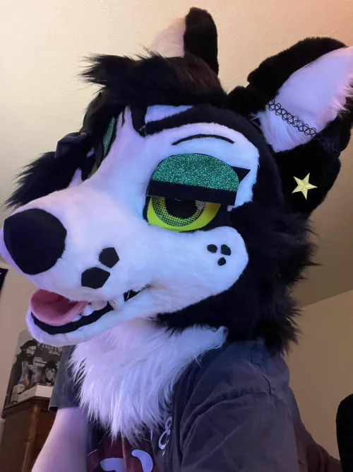 Thumbnail Furry Fun with sprinklesdestroyer: No Need to Worry... GT