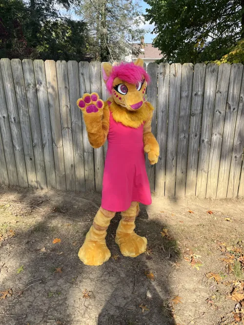 Thumbnail Furry Fashion Unveiled: Flyjah_FlySkunk's New Fursuit Dress