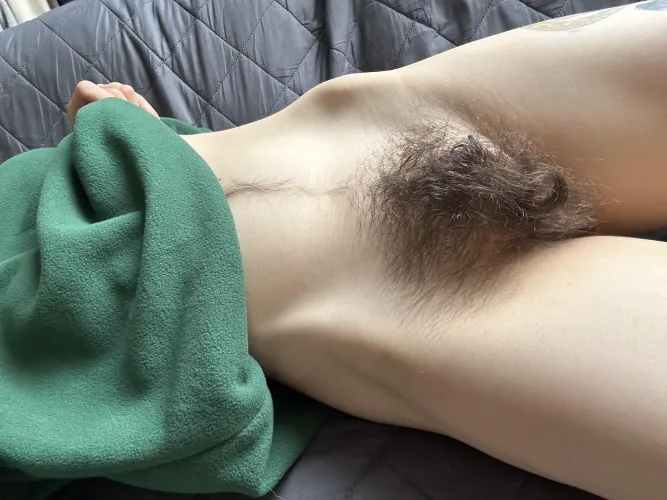 Thumbnail Get Up Close and Personal with My Wild Bush: A RugsOnly Experience by Creative-Strength-17