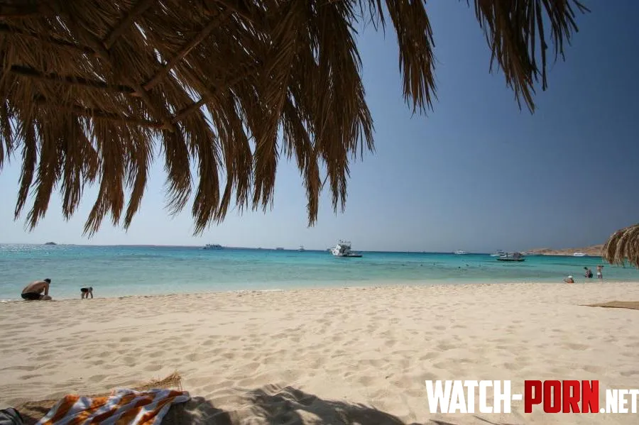 Blue water and golden sand beach in Egypt by Tangcityshop