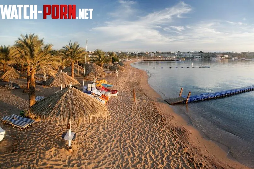 Beautiful beach with golden sand Egypt by hypoxia04