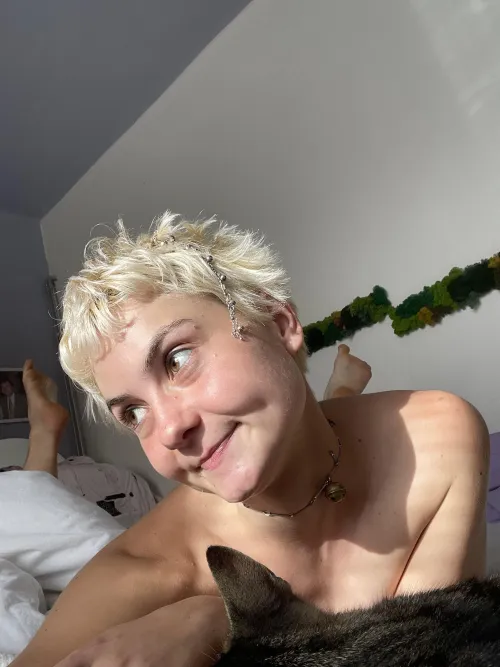Thumbnail Cat Lover's Dream - Cutepirate_offical's Tale in shorthairchicks