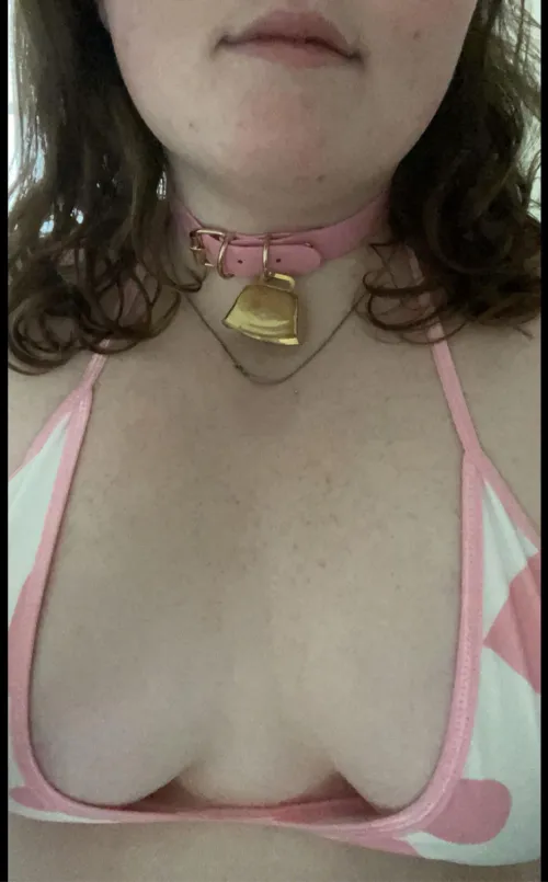 Thumbnail My Bell Obsession Continues: Embracing BBW Beauty by Hyacinth_5227