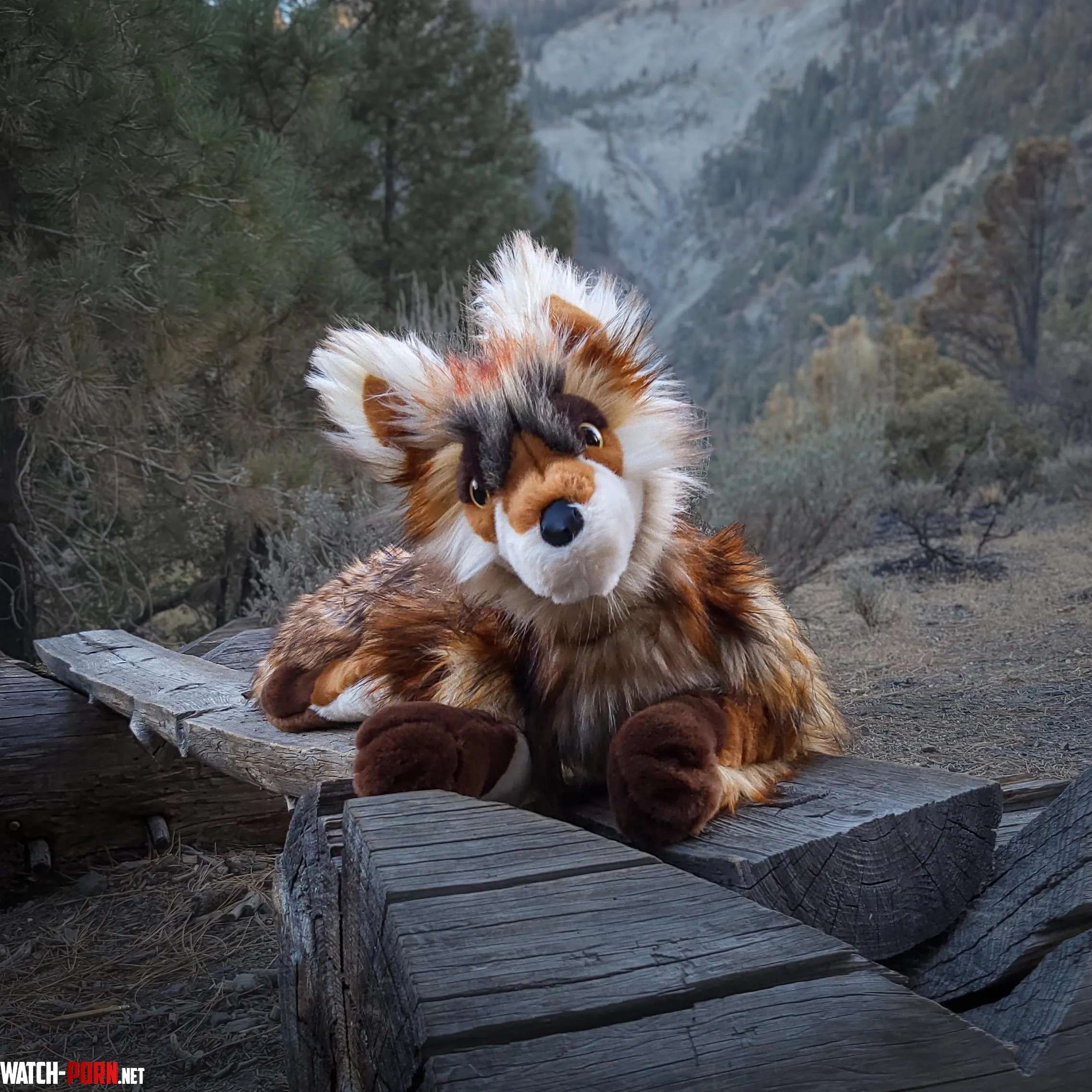 Made a fox plushie  by Owl_Tin