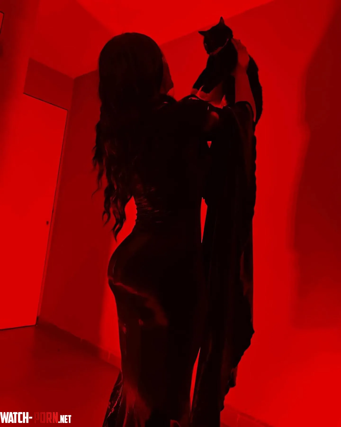 Morticia Addams the Addams Family yisselroa by alejandrasenpai