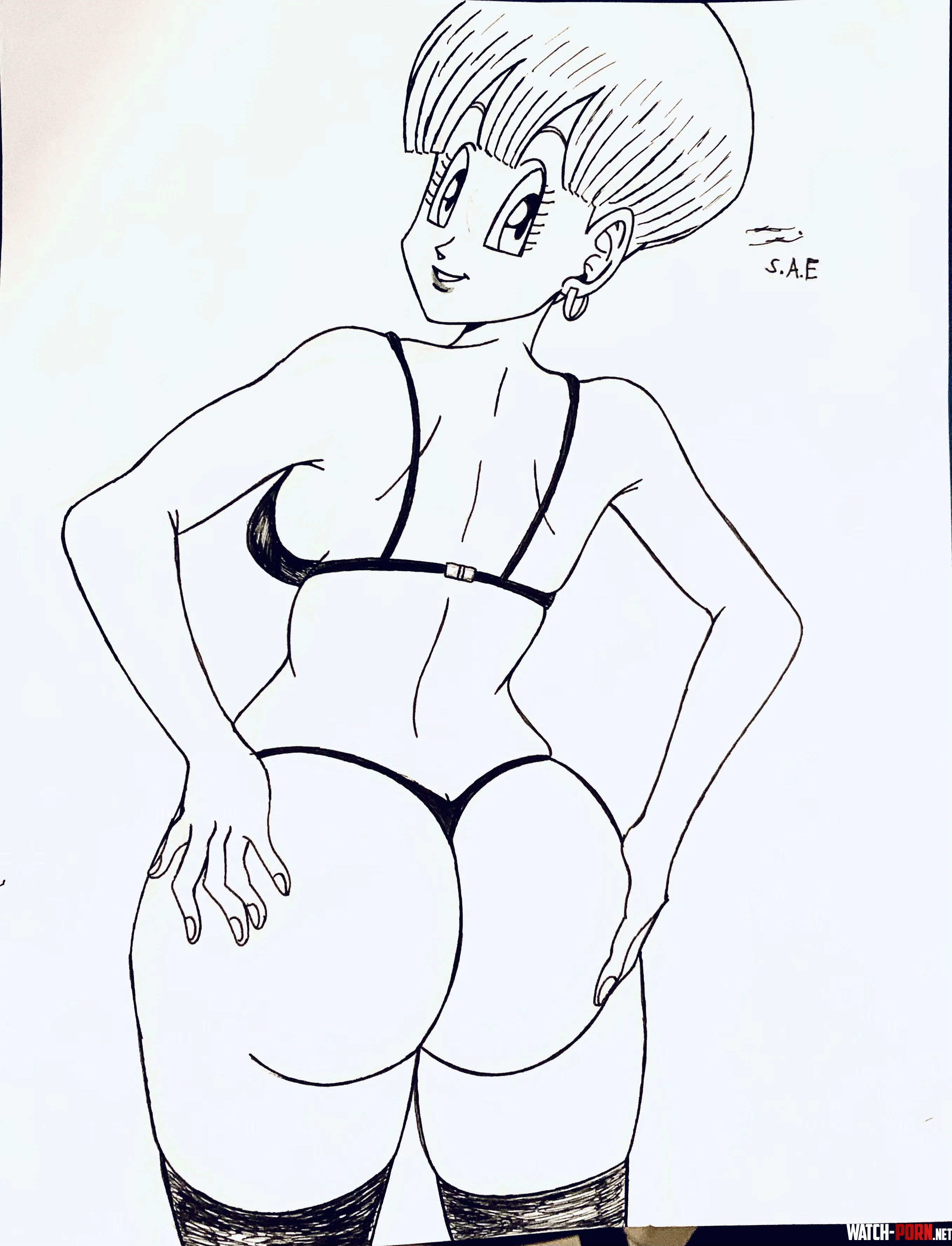 Hows my drawing of Bulmas Booty by ArtsForever