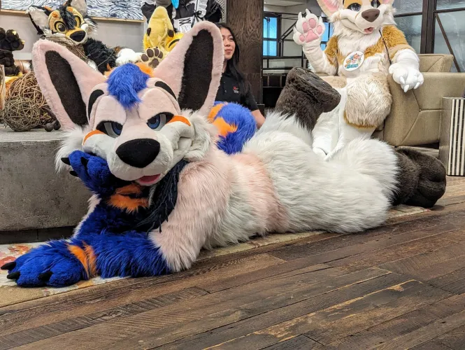 Thumbnail Discover furry adventures with Finn770123's Introduction