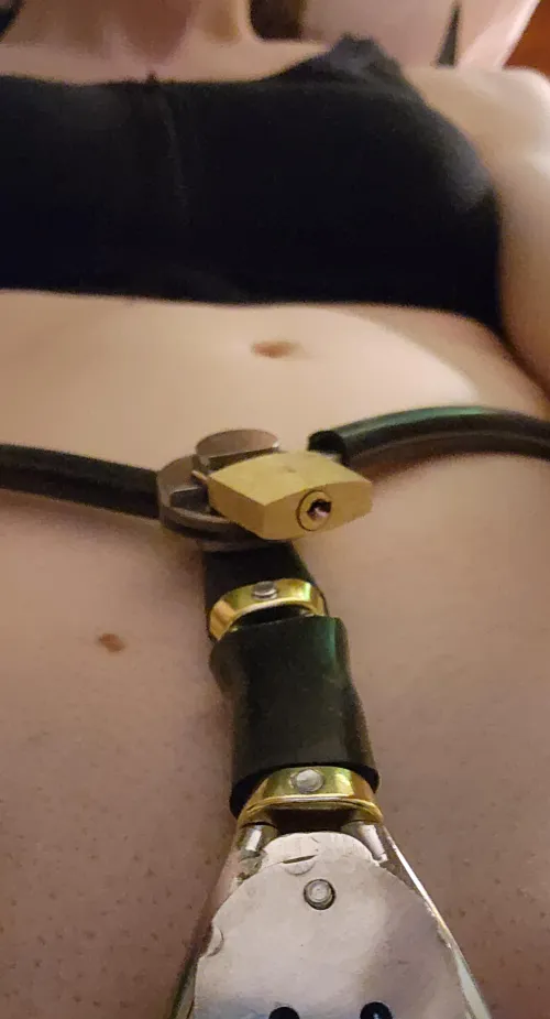 Thumbnail Embracing the First Belt Experience: A Journey of Love by WystarianPixies