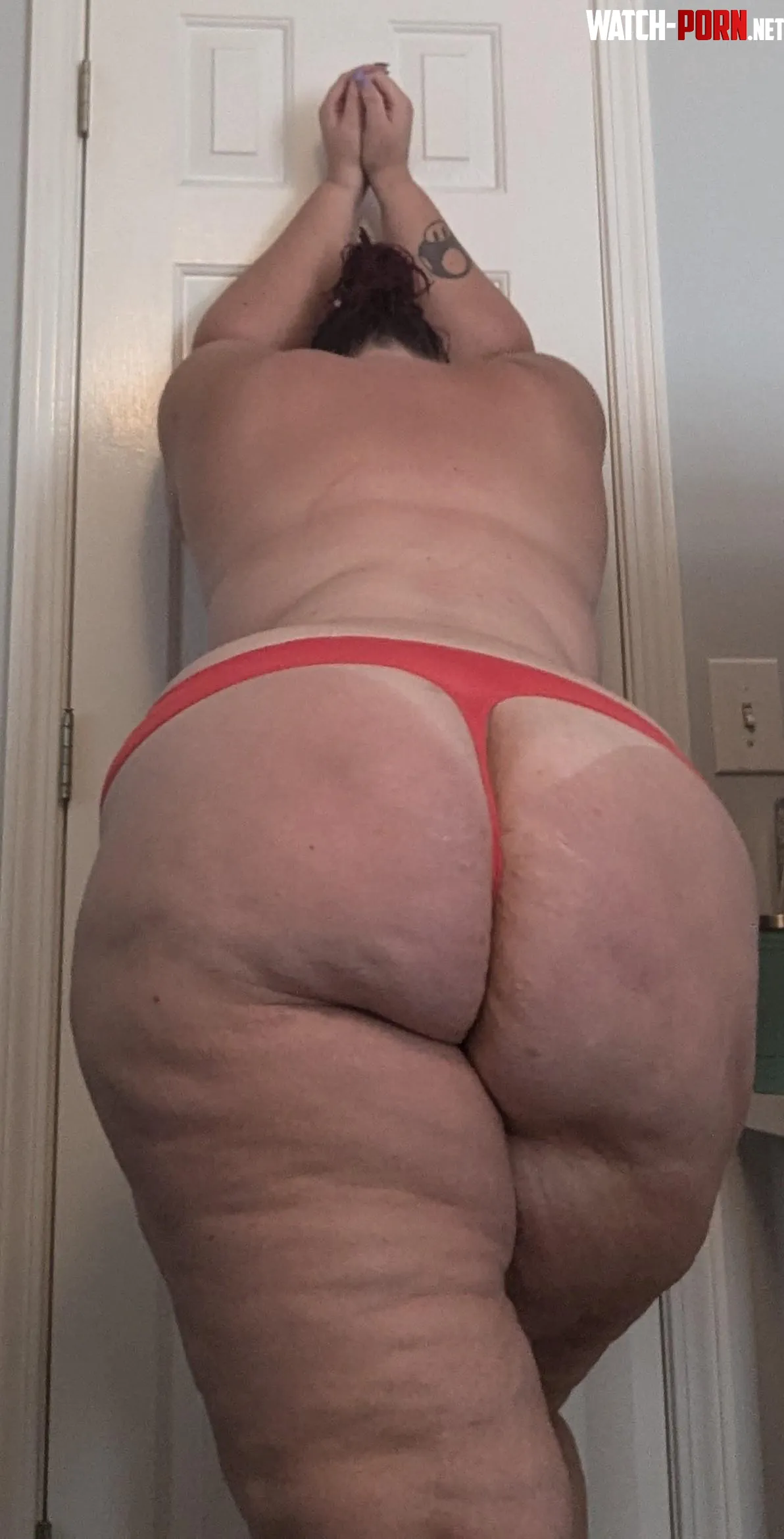 Its Hump Day Again  by tattoedandthick