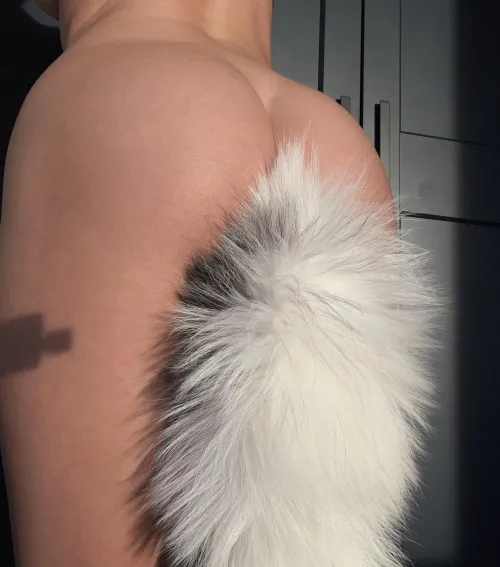 Thumbnail Coolrabbiit's Magical Tail Experience & Heat Inside in AnalGW