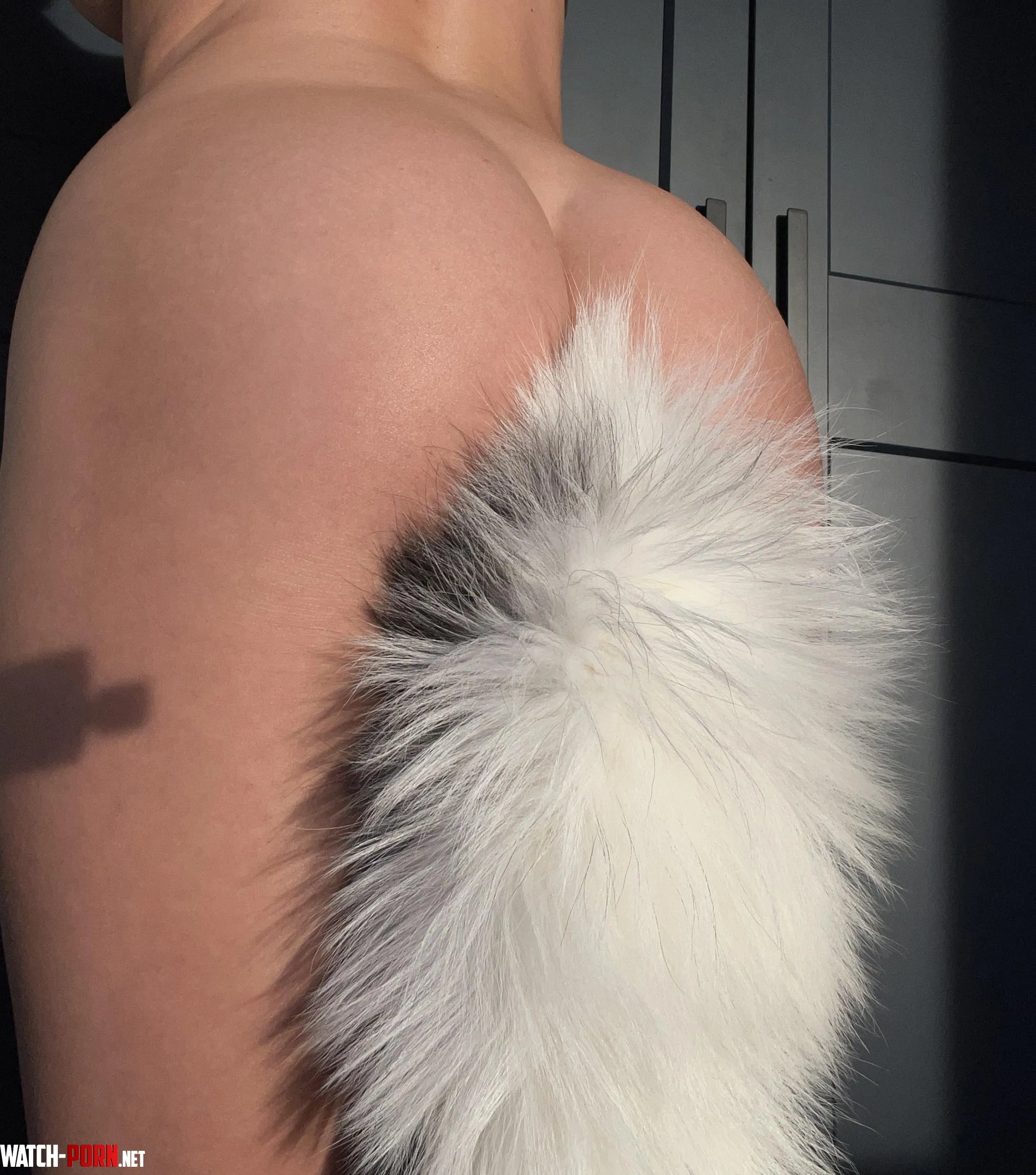 My tail is so magic it just makes me feel a heat inside of my butt by coolrabbiit