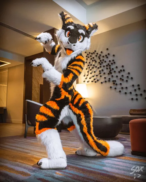 Thumbnail Celebrating Soxs Debut: A Year of Furry Fun | SilySox