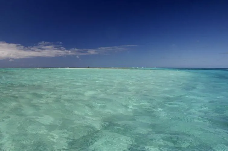 Thumbnail Turquoise Waters Wonder: Hawaiian Beach Delight by colapepsikinnie