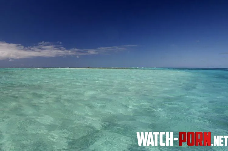Turquoise waters in the northwestern hawaiian islands by colapepsikinnie