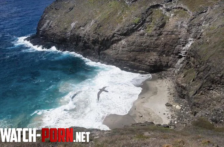 Hidden cove in California  by colapepsikinnie