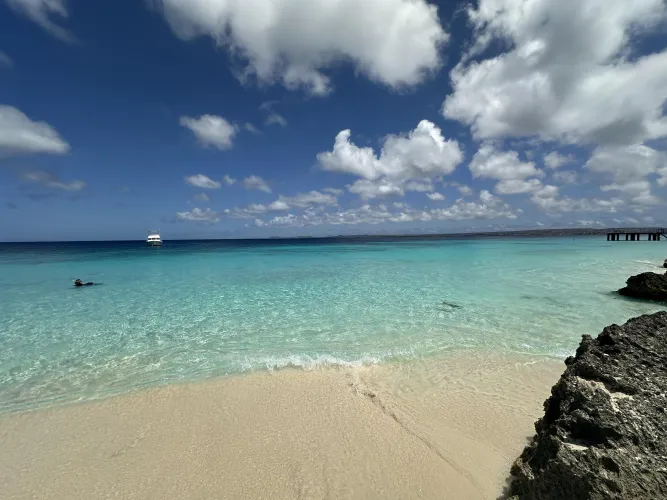 Thumbnail Exploring Bachelors Beach Bonaire by Brooklyn11209 | Beach Category