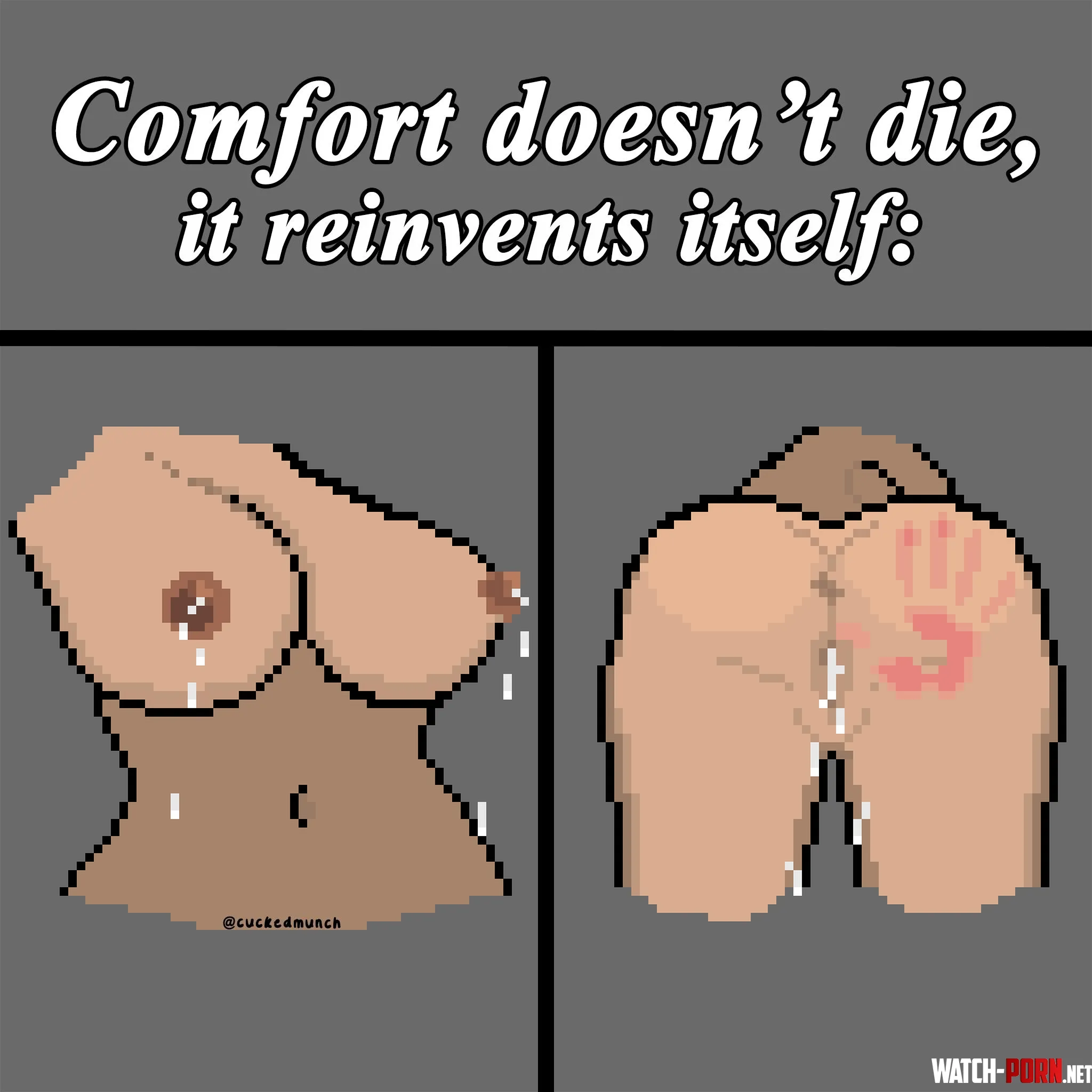 Comfort doesnt die it reinvents itself by cuckedmunch