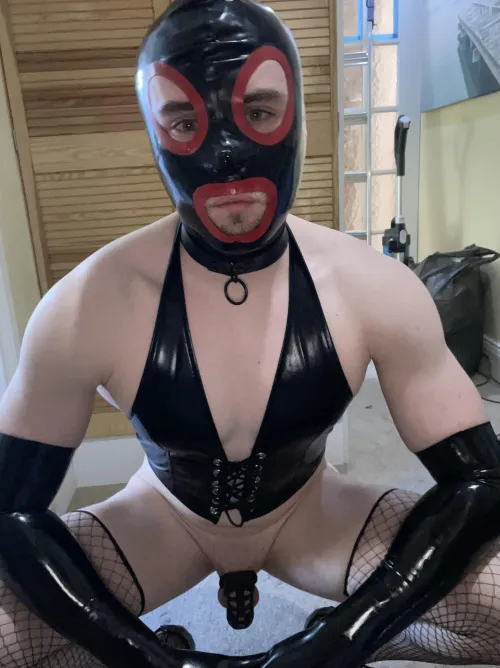 Thumbnail Shiny Sundays: Fun-filled Shiny Delights by subdomjames