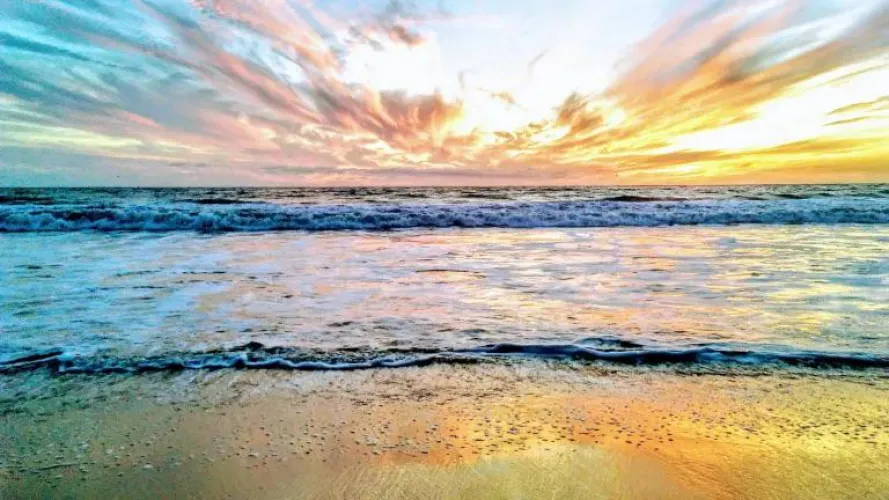 Thumbnail CompleteEnergy579's Seaside Paradise: Santa Monica State Beach Exploration